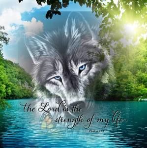 Meet your Posher, Laurie